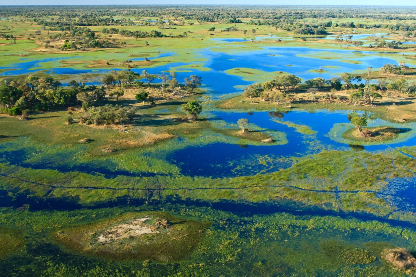 Okavango Delta marshes.