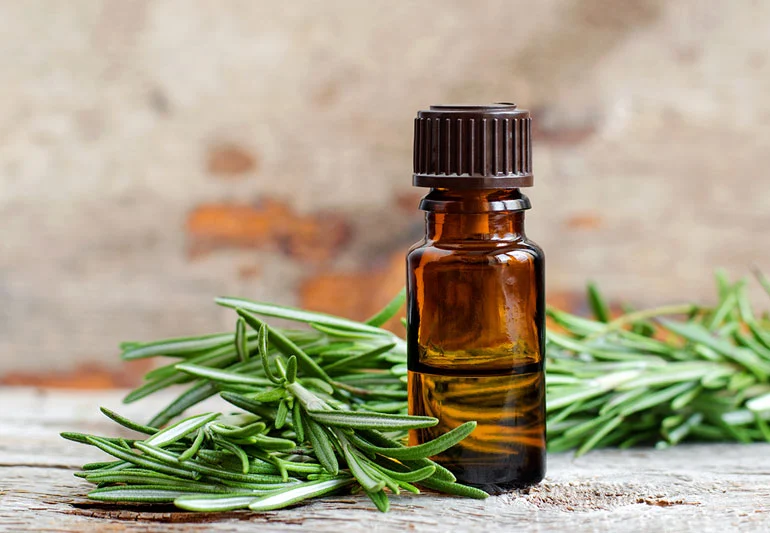 Rosemary Oil