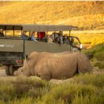 Uber Safari: A New Way to Experience Wildlife Uber Safari brings hassle-free, tech-driven safari experiences from Cape Town to Aquila Game Reserve. 📸 Credit: Uber