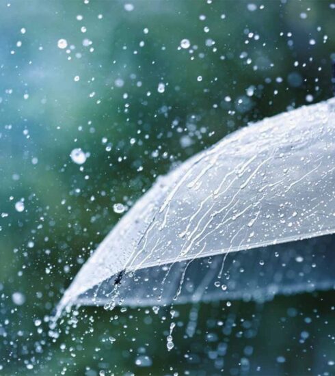 Transparent umbrella under rain. Photo Credit: Julia Sudnitskaya