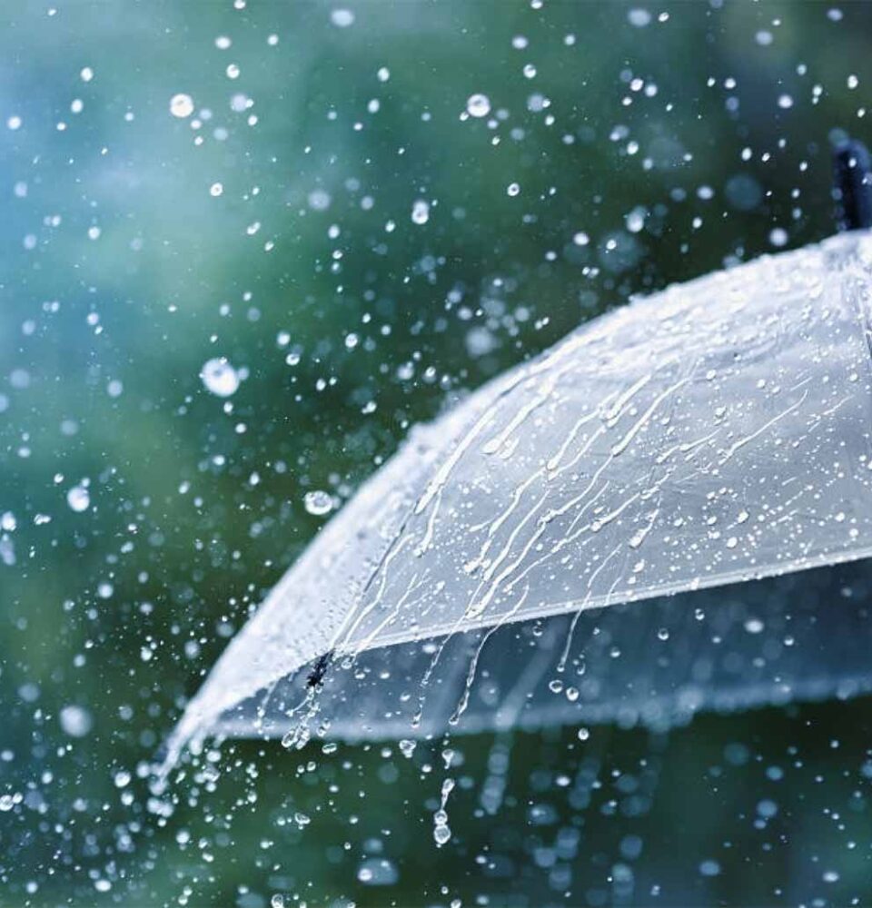 Transparent umbrella under rain. Photo Credit: Julia Sudnitskaya