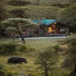 Exterior View: Nestled into the riverine forest along the Njageteck River, the refreshed Hemingways River Camp Mara offers an intimate, water-level safari experience. A hippo grazes on the lawn in the foreground, highlighting the camp's deep immersion in the Maasai Mara ecosystem. Photo Credit: Hemingways Collection