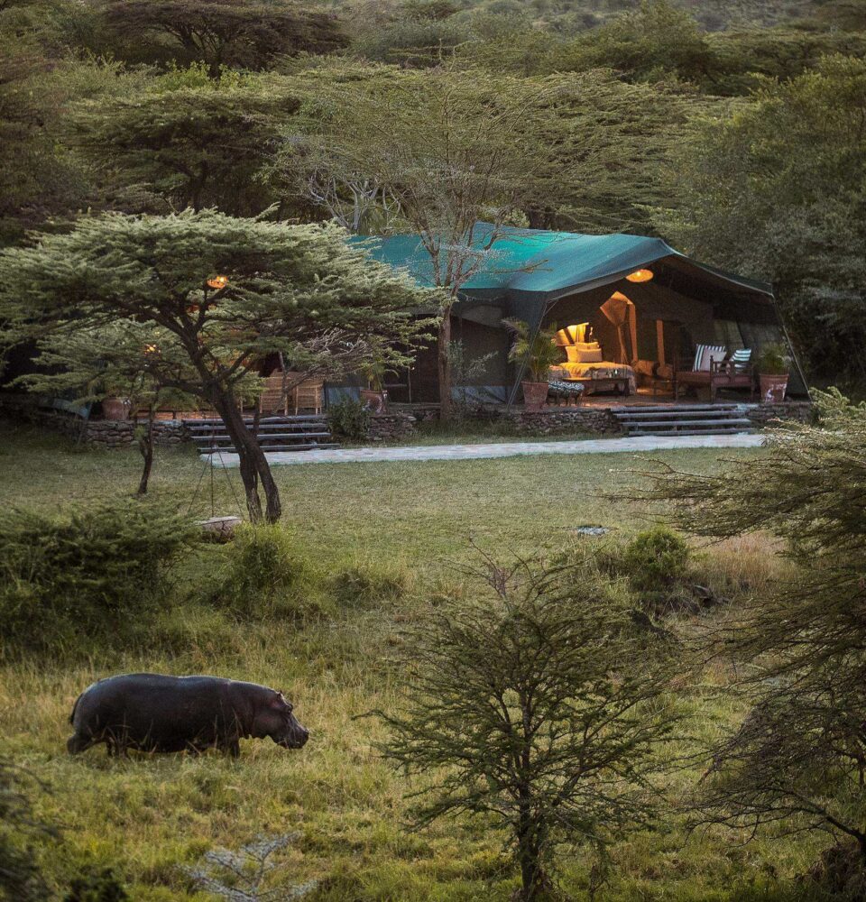 Exterior View: Nestled into the riverine forest along the Njageteck River, the refreshed Hemingways River Camp Mara offers an intimate, water-level safari experience. A hippo grazes on the lawn in the foreground, highlighting the camp's deep immersion in the Maasai Mara ecosystem. Photo Credit: Hemingways Collection